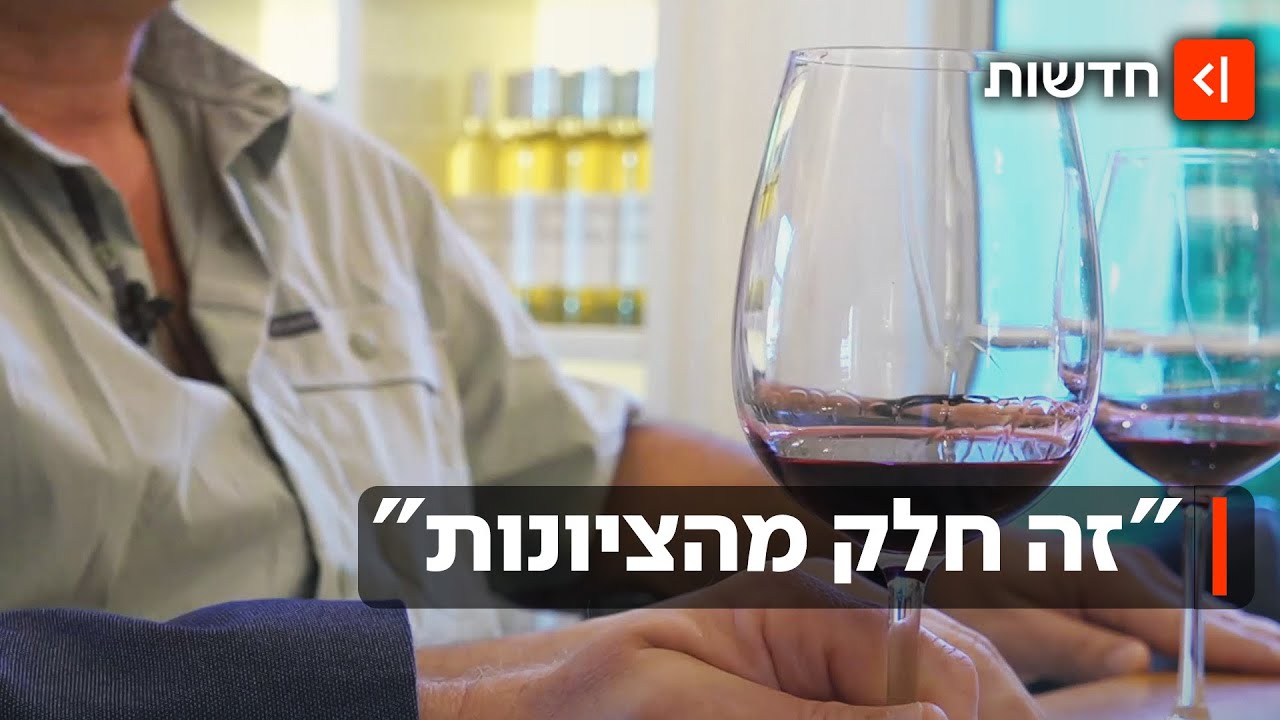 בירת היין החדשה של ישראל? האזור שחובבי היקבים חייבים להכיר