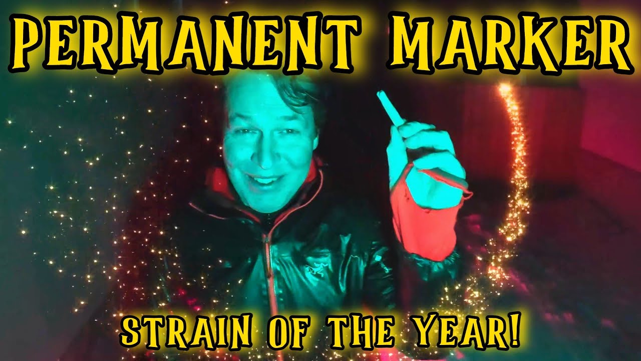 STRAIN OF THE YEAR Permanent Marker! Sniff this vid! Strain Review!