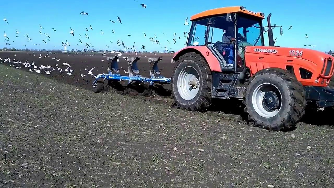 #Orka 2016#Ursus 1934+Overum XCELSIOR CX#Orka Pszenicy#Nowość 2016#HD 720p