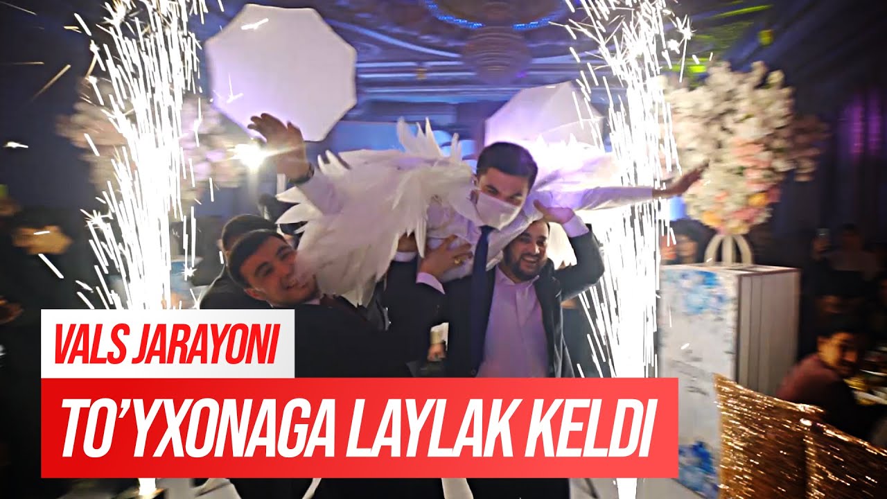 🦢  To'y xonaga Laylak tashrif buyurdi