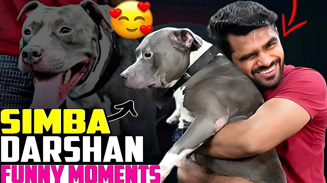 🐶 Simba Darshan Funny Moments 2025 😂 | ShreeMan Legend & His Dog