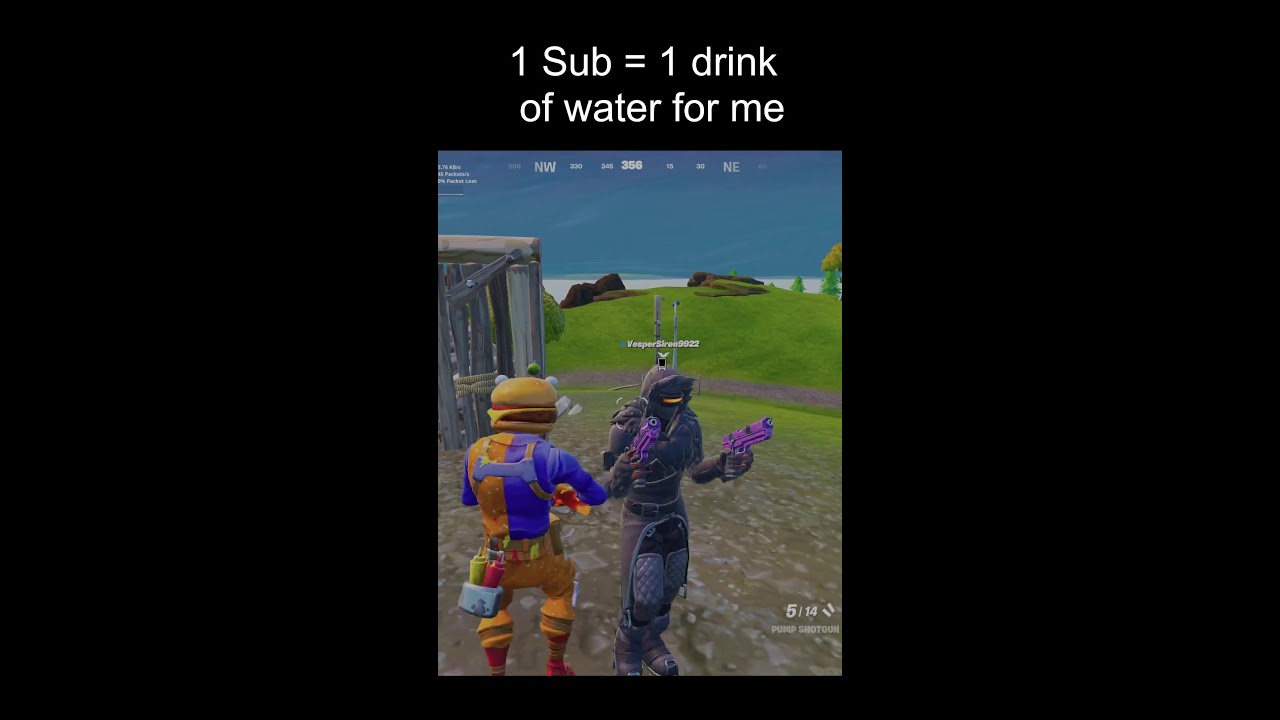 FORTNITE!!!!