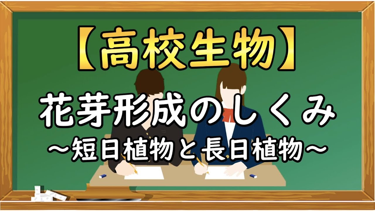 高校生物【花芽形成のしくみ〜短日植物と長日植物〜】オンラインで高校授業