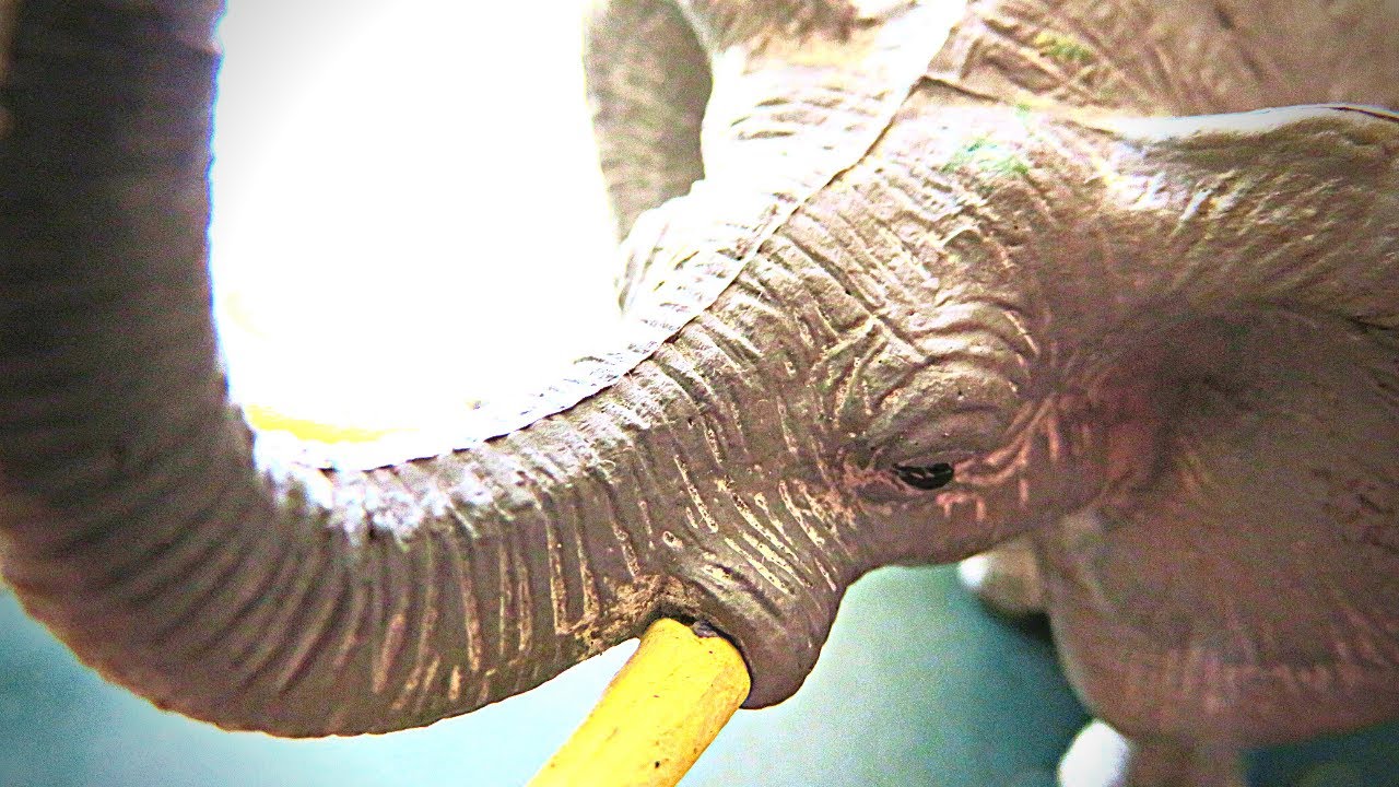 Let's learn English 🐘 with ANIMALS! 🦒 | World English School Today
