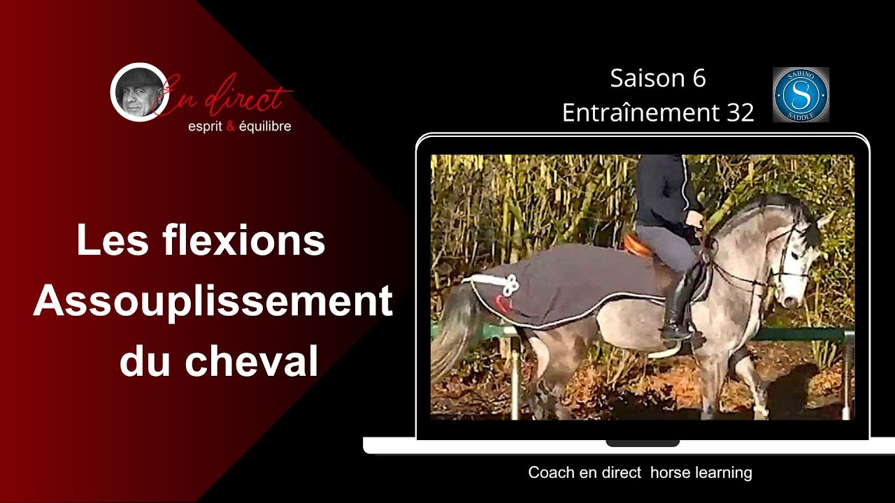 les Flexions, Assouplissement pour le confort du cheval.@COACH EN DIRECT Horse learning
