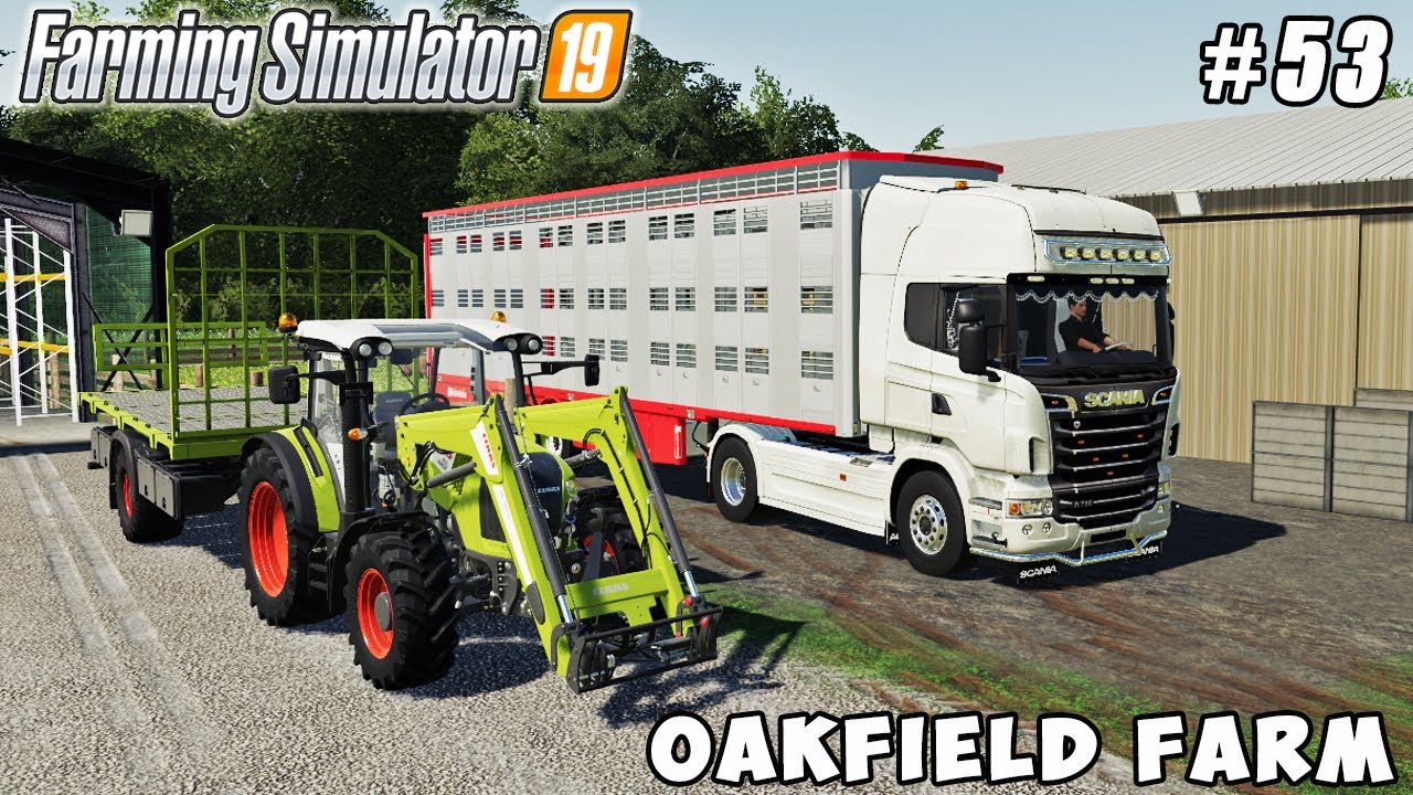 Selling cheese, meat and pigs, buying sheep | Oakfield Farm | Farming simulator 19 | Timelapse #53