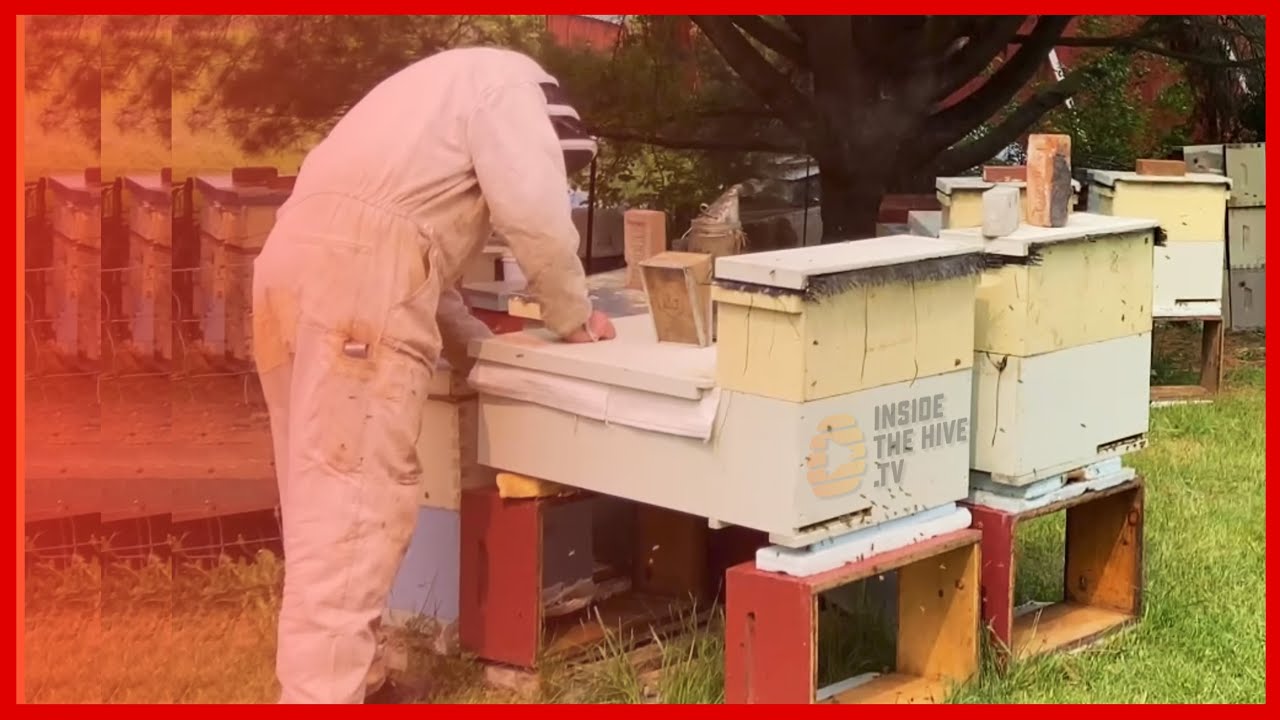 Vermont beekeeper knows...