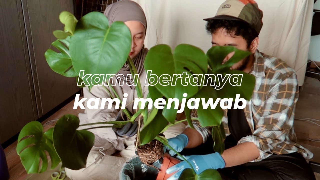 Pernah merasa 'tertinggal' dengan teman sejawat? Kalo berantem siapa yang minta maaf duluan? Dll✨