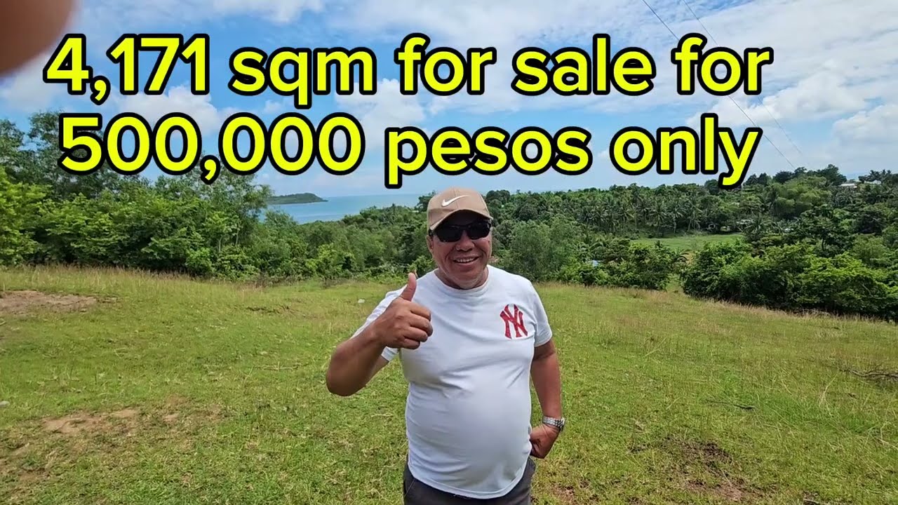 Bohol seaview lot for sale in President Garcia Bohol, Pitogo Philippines 500k net
