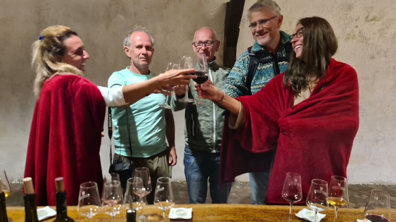 Winery Khareba. GEORGIA #travel #georgia #amazing #winery #wine #winelovers #shere #video #subscribe