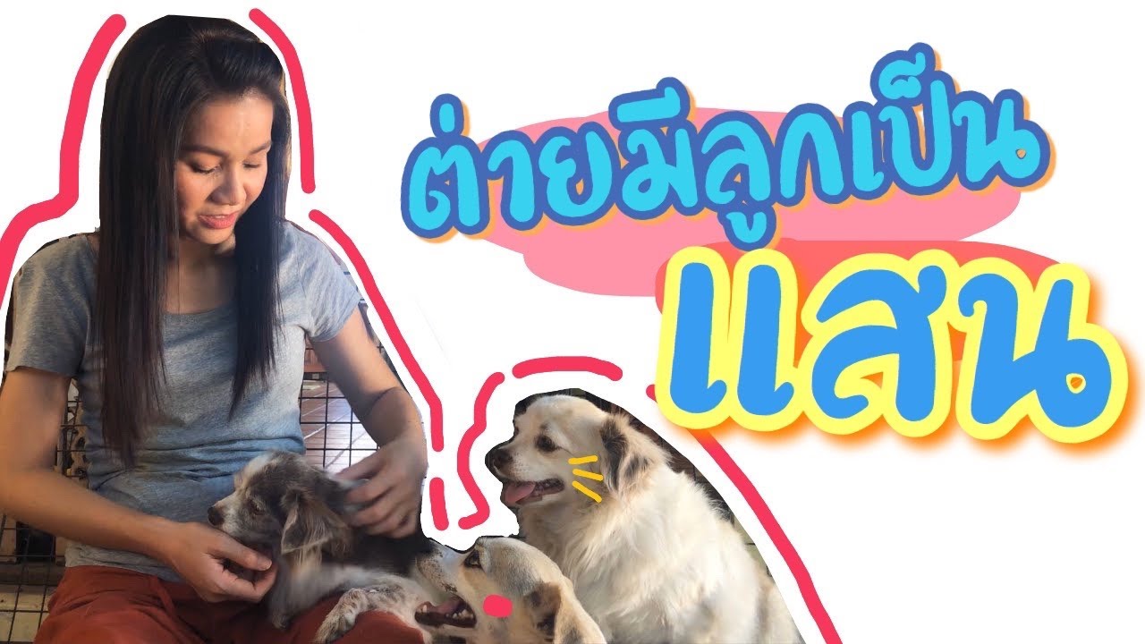 🍃ต่าย🍃มีลูกเป็นแสน🐕 EP.1