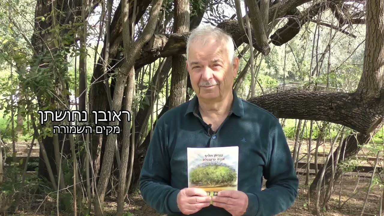 שמורת עץ השיזף ברעננה