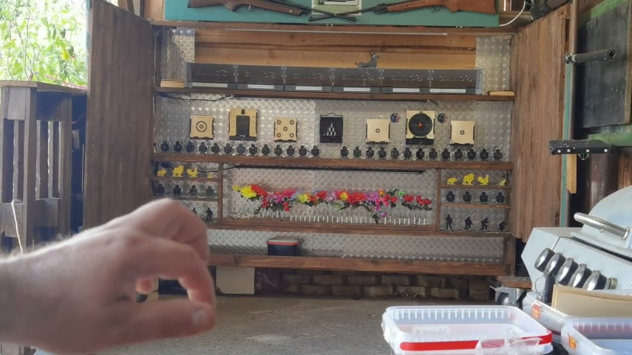 Dan Wesson 8 Zoll BB und Dust Devil BBs