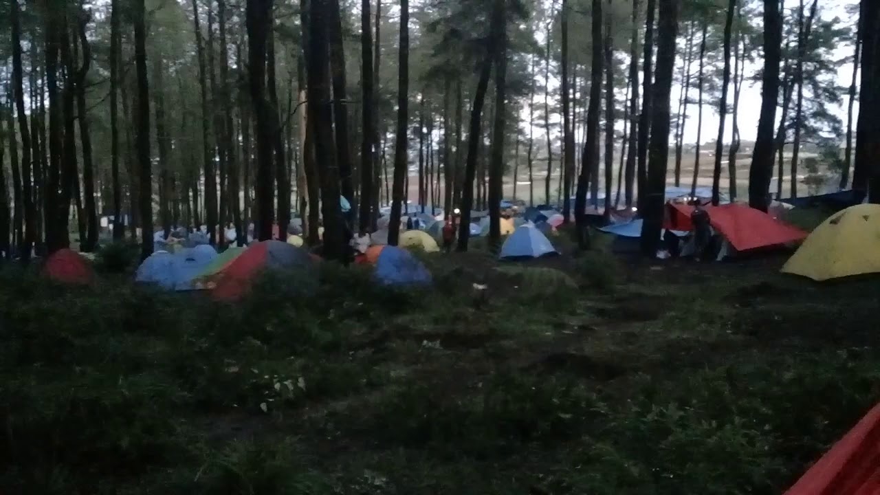 Hutan pinus lembanna #Mapalasba_Bulukumba