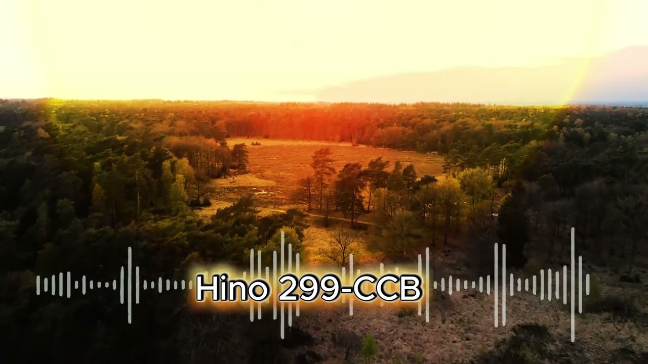 Hino-CCB-299