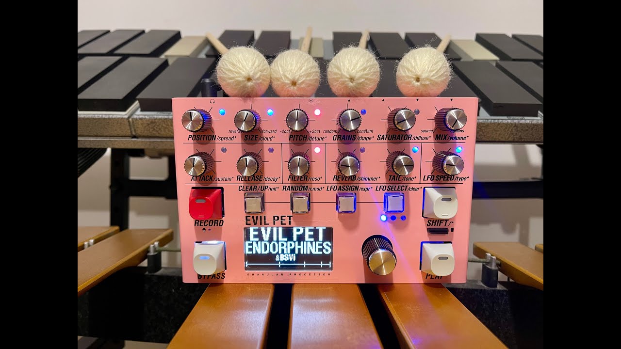 Not so EVIL PET & Vibraphone