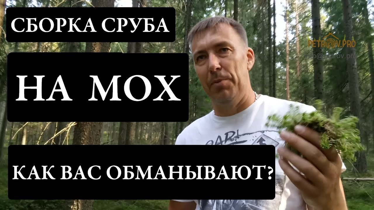 Сборка сруба на мох. Как Вас обманывают