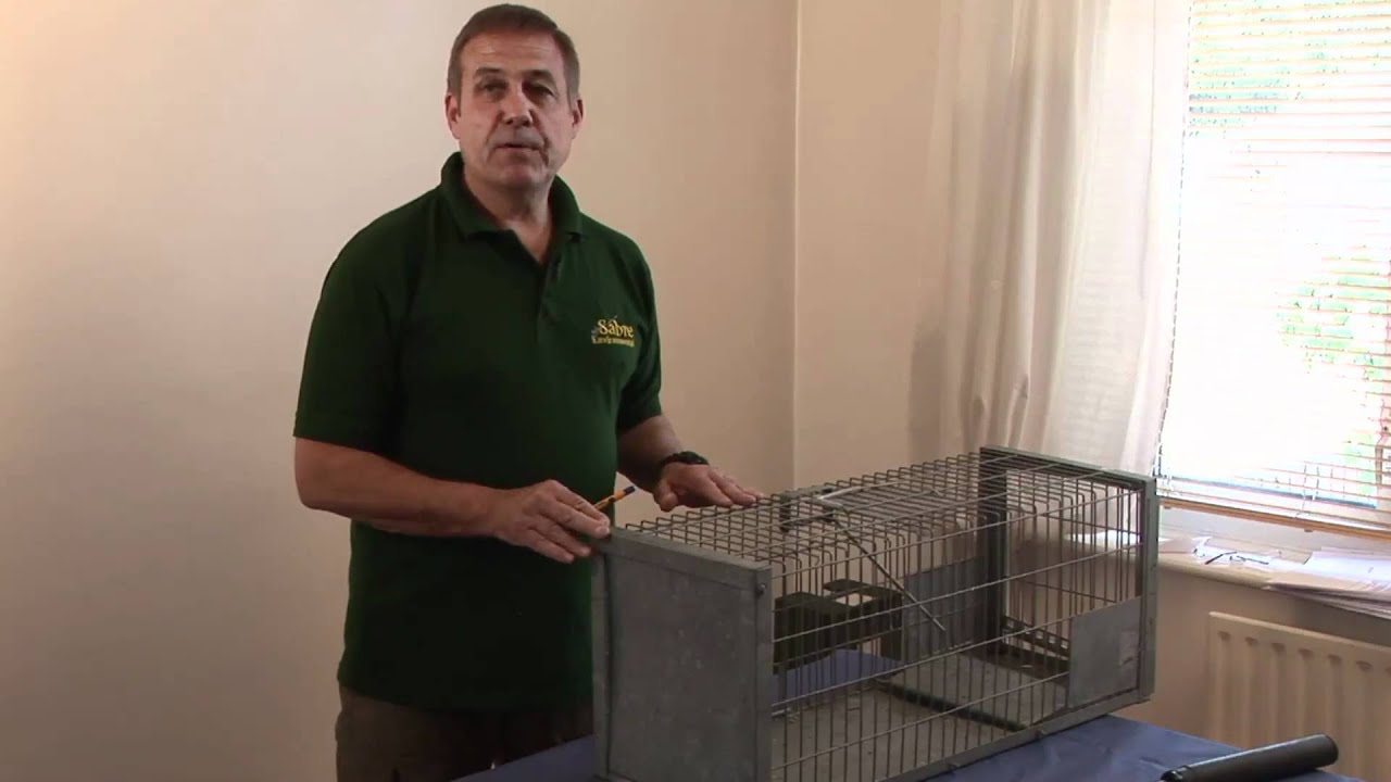 Как избавиться от лис