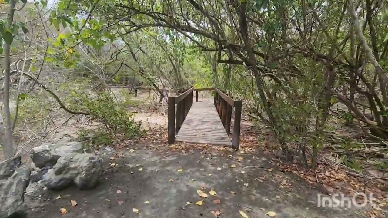 Playa la Jungla, Guánica🇵🇷❤️