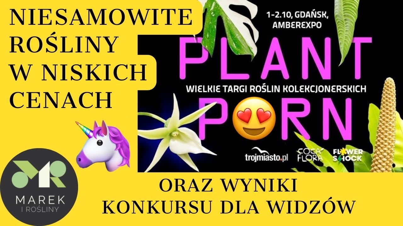 Targi roślin kolekcjonerskich oraz wyniki konkursu dla widzów.