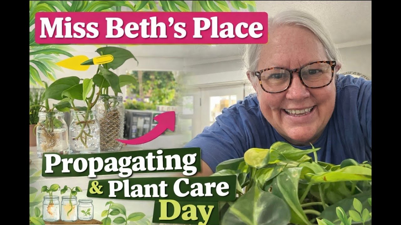propagating and watering my houseplants