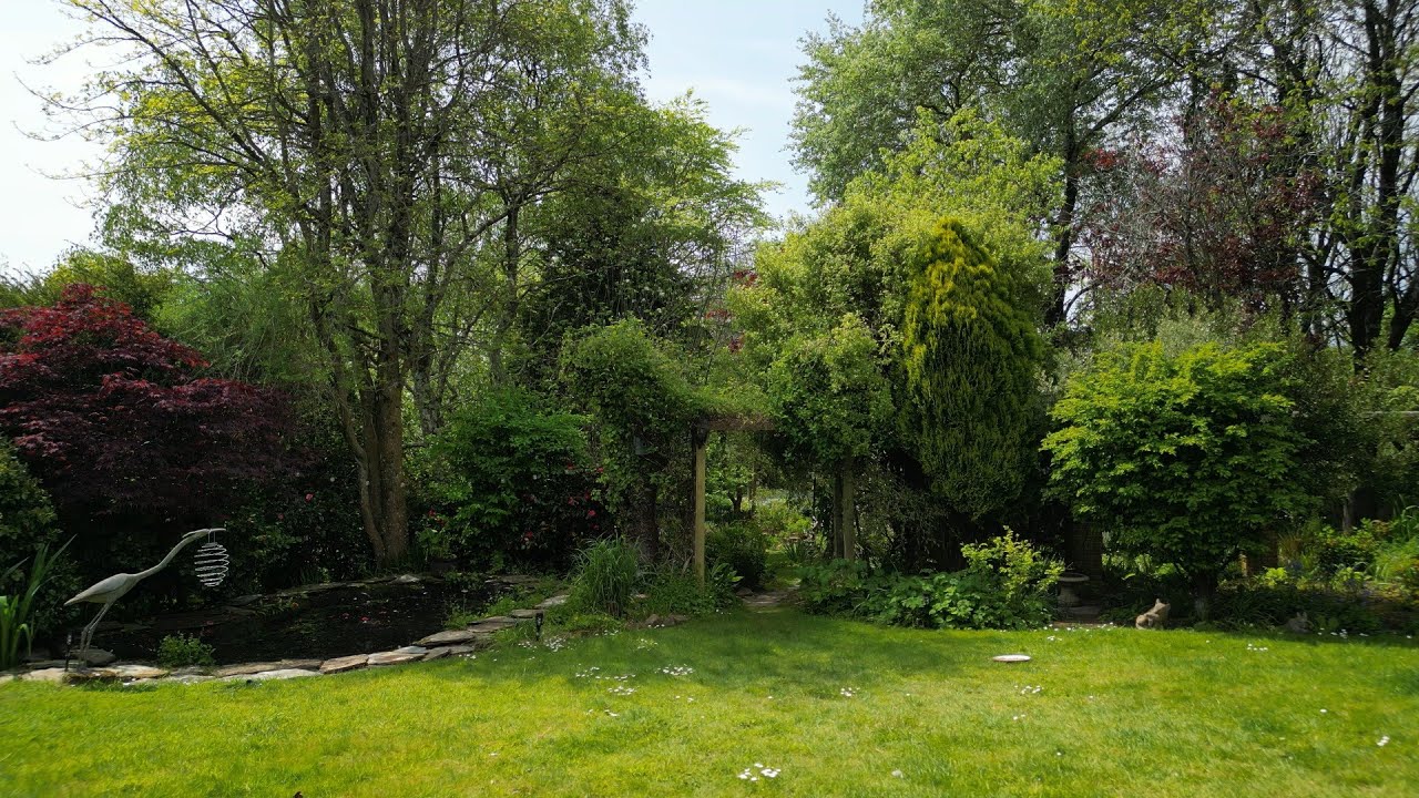 An English Country Garden