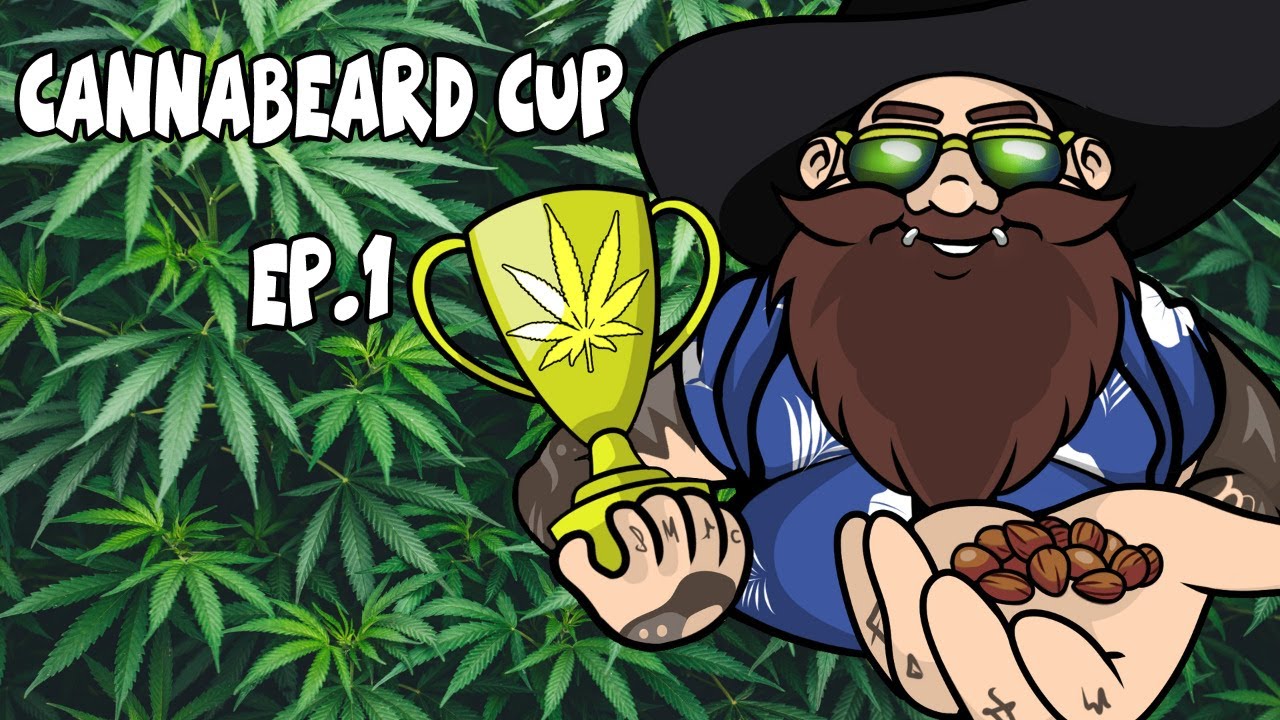 cUpdate 1 - CANNABEARD CUP - 10 growers 1 strain