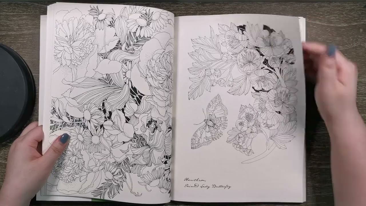 FLORIBUNDA YEAR coloring book flip through Leila Duly