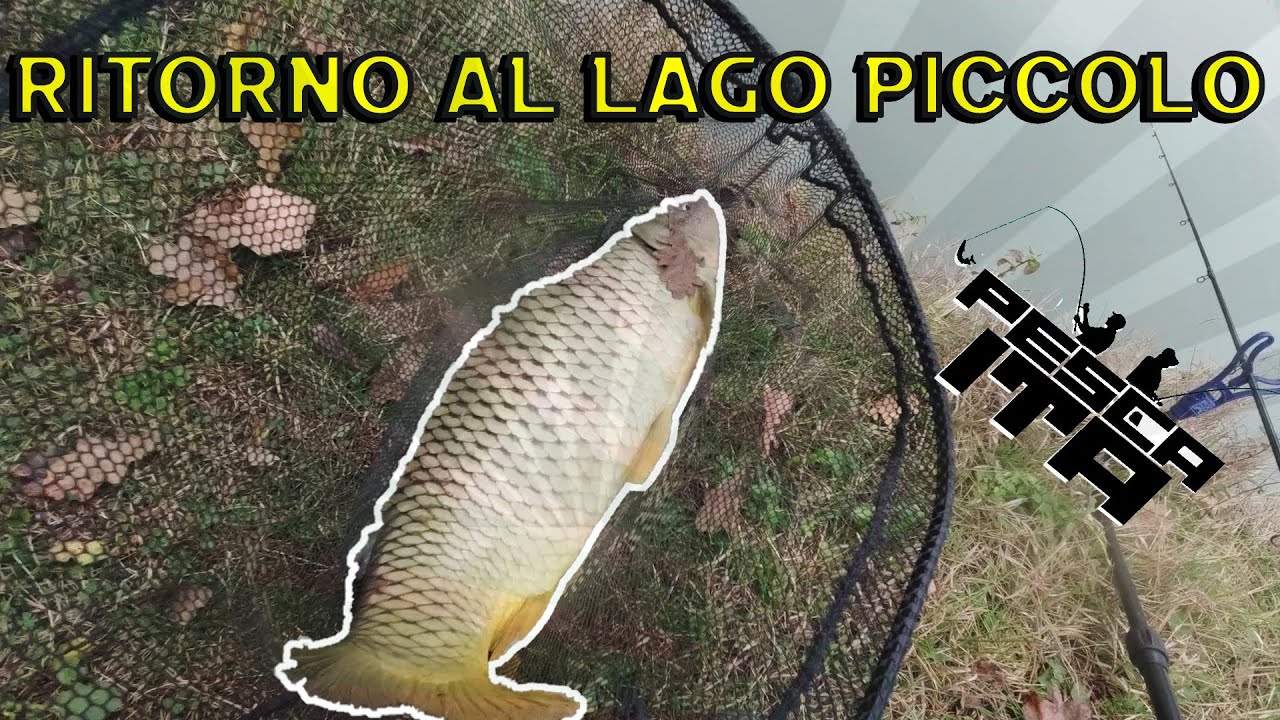 Pesca ITA-Ritorno al lago piccolo Laghi Lungavilla