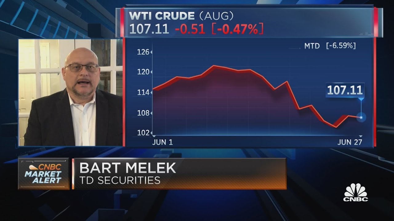 Not sure a price cap on Russian oil exports would dissuade other customers from buying: Melek