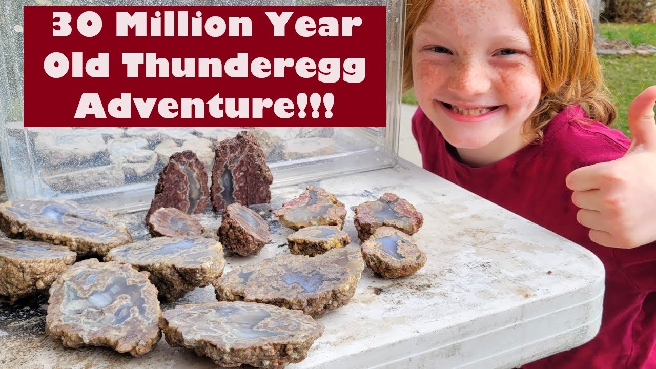 Succor Creek Thunder Egg ADVENTURE!! [Digging & Cutting open 30 MILLION YEAR OLD thunder eggs!]