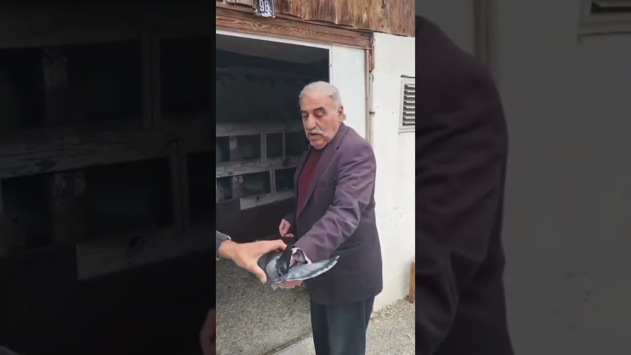 Akşam Bomba Efsane Kuşlar Sizlerle Ferhat Civan Farkı