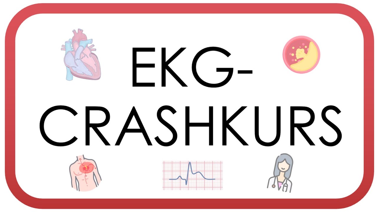 EKG Crashkurs - Auswerten in unter 10 Minuten (AV-Block, Vorhofflimmern, STEMI, Perikarditis)
