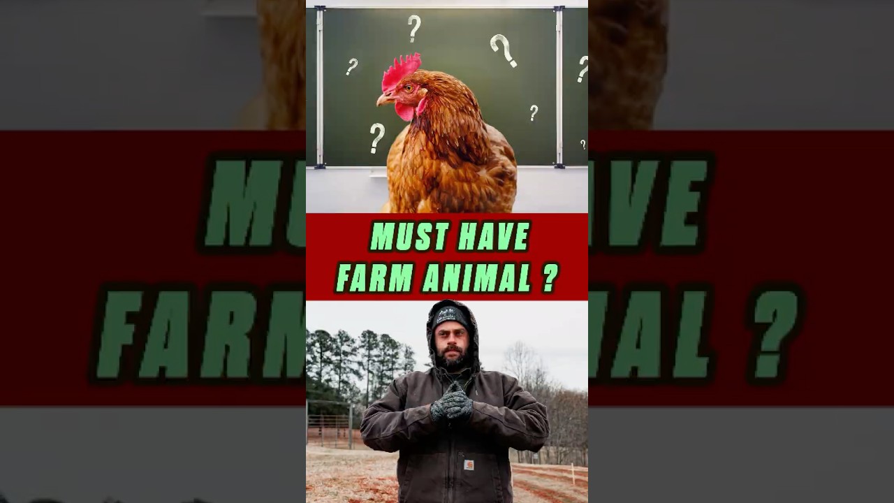 My Must Have Farm Animal?