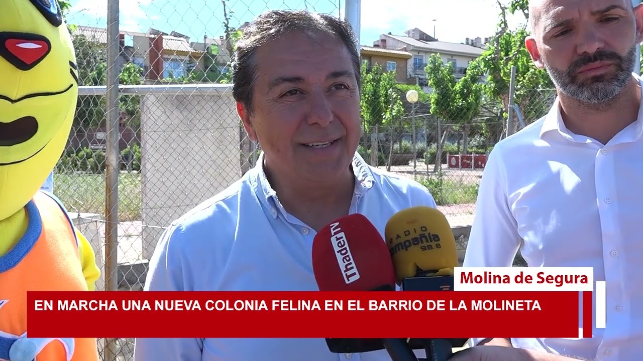 En marcha una nueva colonia felina en 