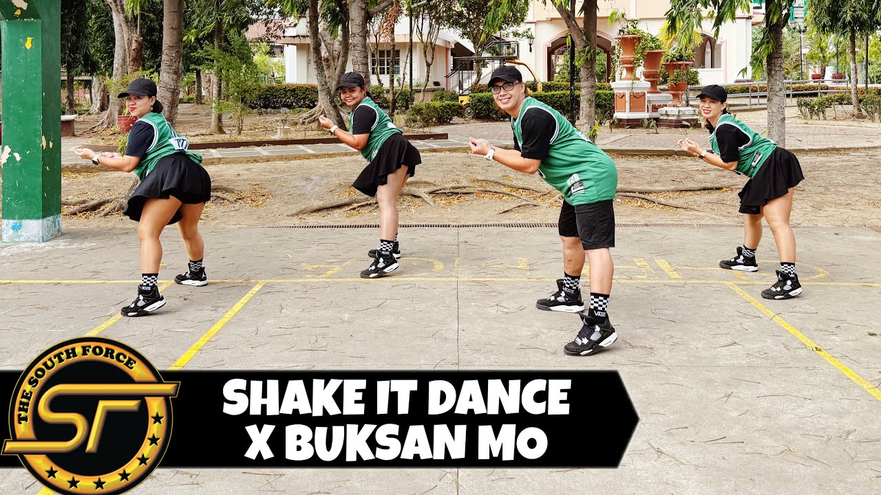 SHAKE IT DANCE X BUKSAN MO ( Dj Choijai Remix ) - Mashup | Dance Trends | Dance Fitness 