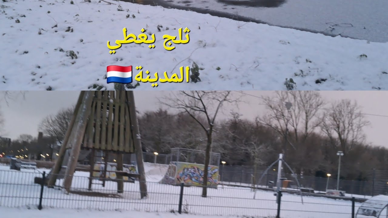 أجواء سقوط الثلج ☃️في هولندا 🇳🇱أمستردم منظر جميل#snow #برد_الشتاء 