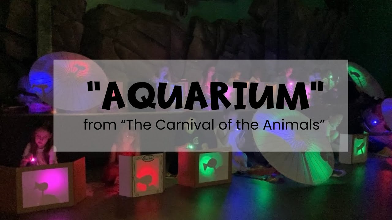 Aquarium from 