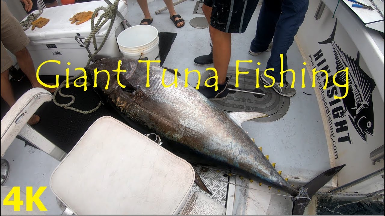Giant Tuna Fishing | Cape Cod | Atlantic Ocean