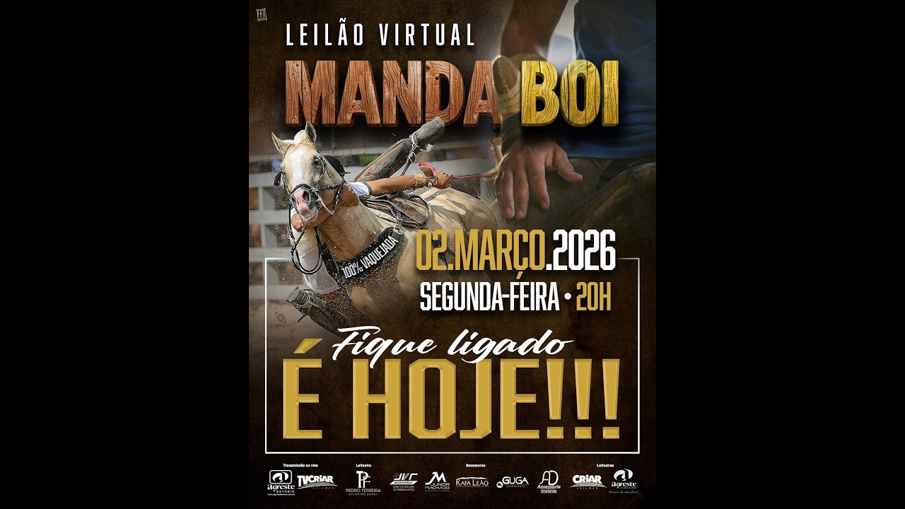 LEILÃO MANDA BOI
