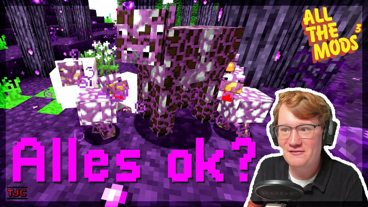 Hey, Kuh - alles ok? Du siehst so... 