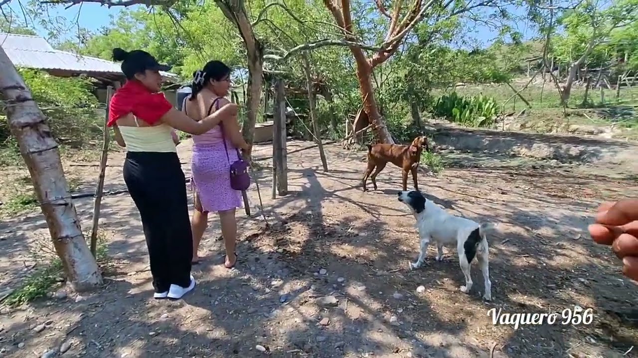 EN LA SIERRA COMPRANDO QUESO Y CEBOLLA @En el campo con itzi CON NETY Y @vaquero 956