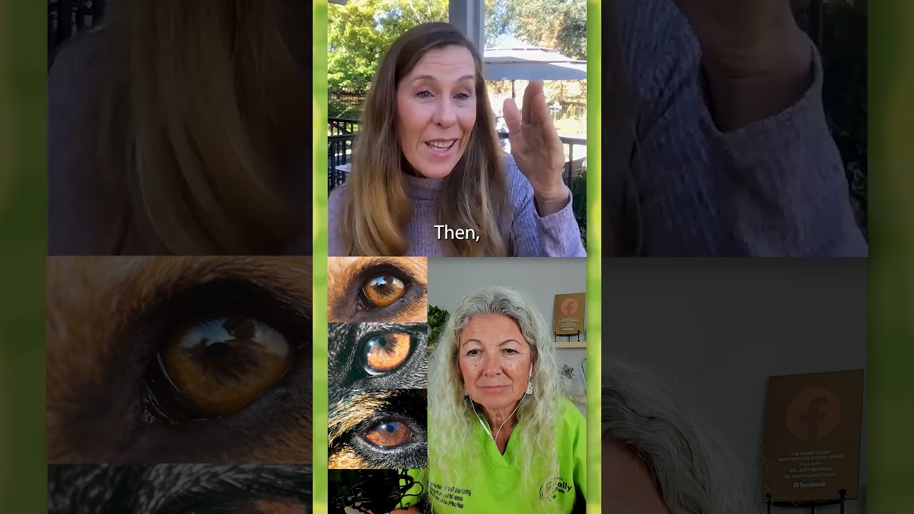 Iridology From History to Modern Day