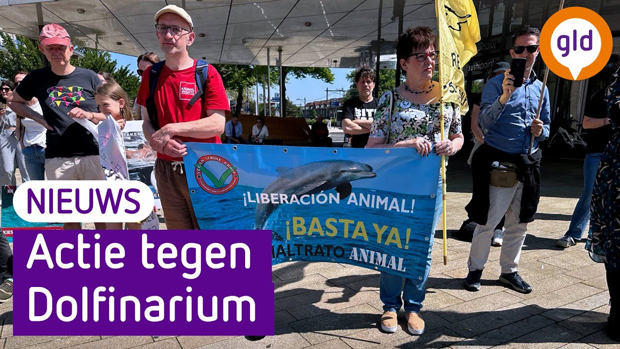 ACTIEVOERDERS willen SLUITING Dolfinarium
