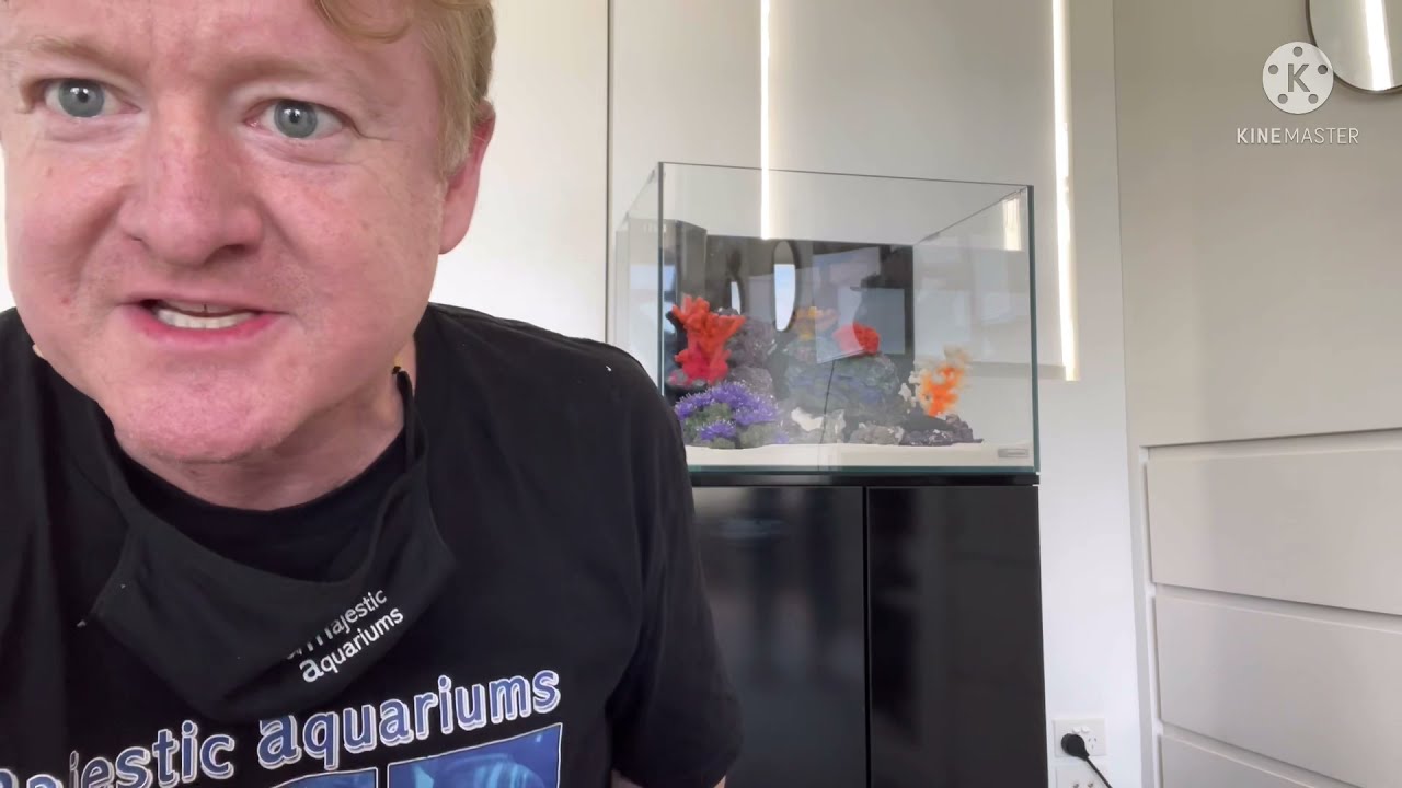 How to install an Aqua One Mini reef in 25 minutes!