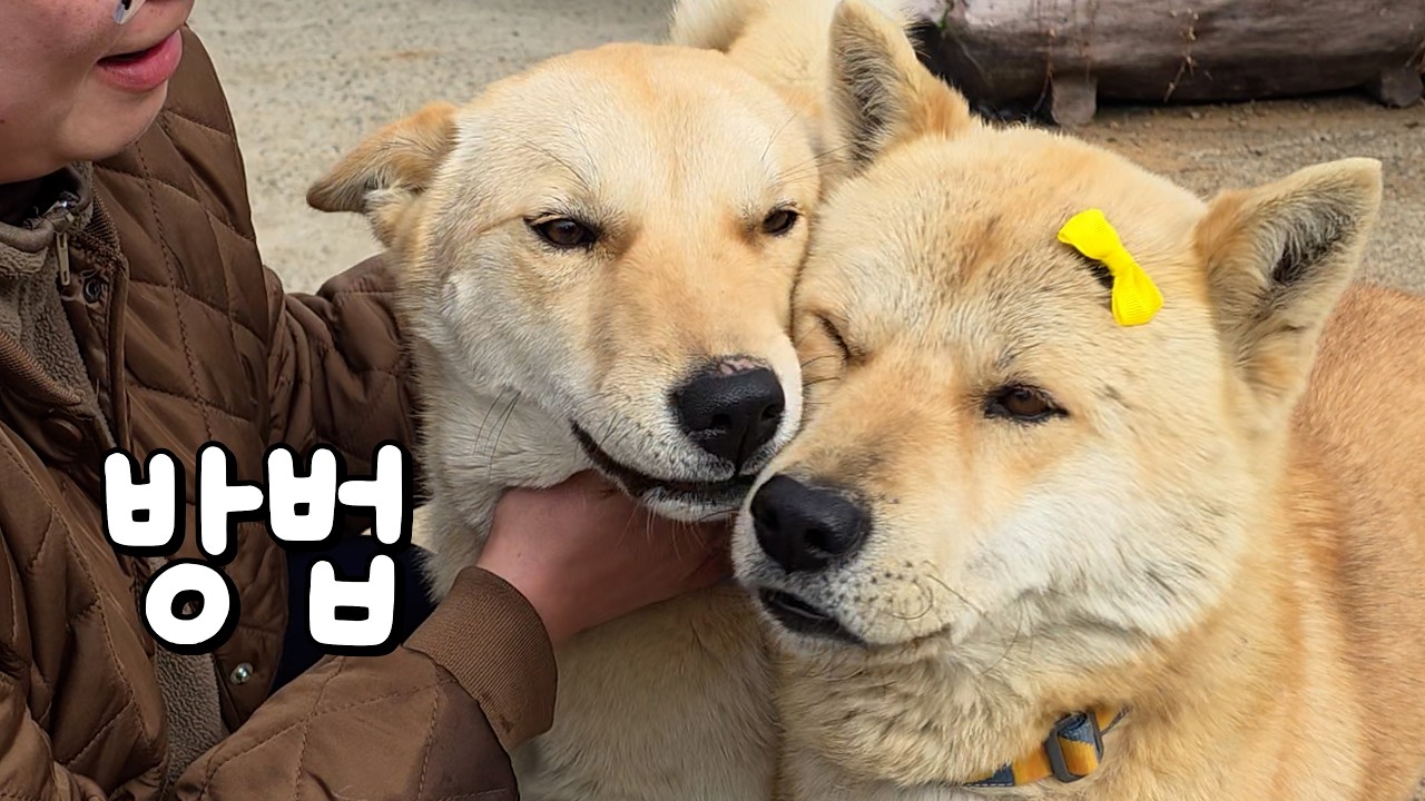 일 년 사이에 많이 바뀌었네요