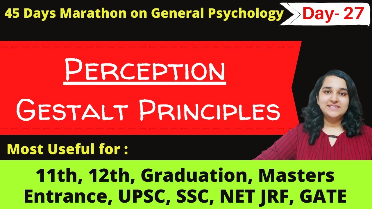 Perception explained in detail in Hindi| General Psychology| Mind Review