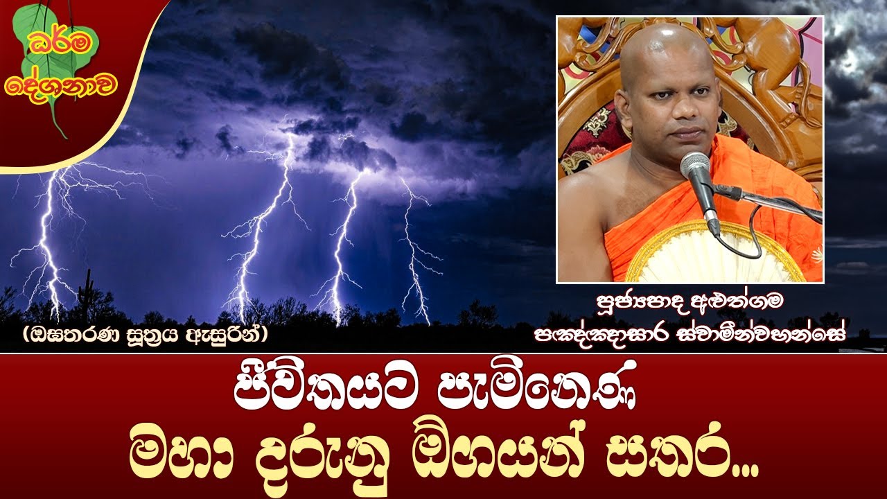 Ven Aluthgama Pannasara Thero | 2023-06-04 | 11:30 AM (මහා දරුනු ඕගයන් සතර...)