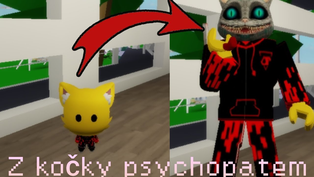 Pikachu si koupil kočku🤩