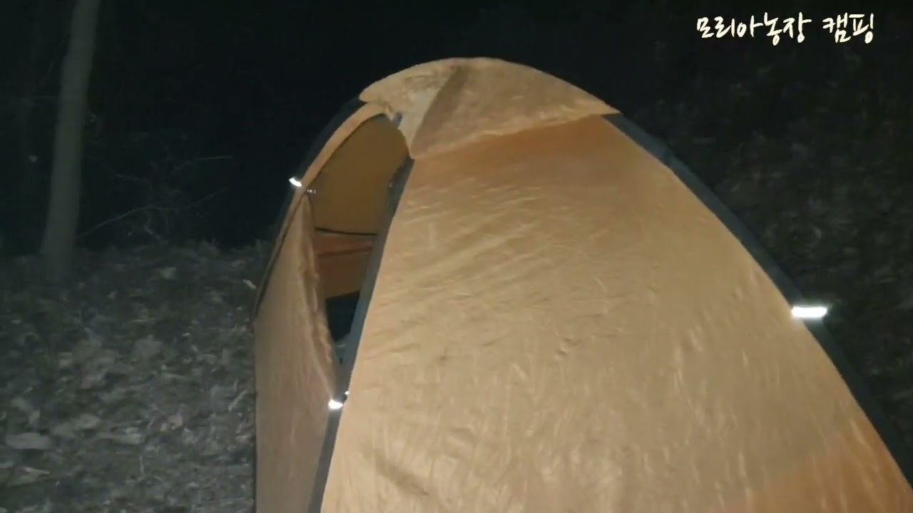 한겨울  야생비박  핫팩5개로 견디기♤♤♤♤♤